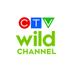 CTV Wild Channel